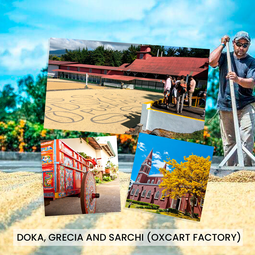 Doka, Grecia and  Sarchi (Oxcart Factory)