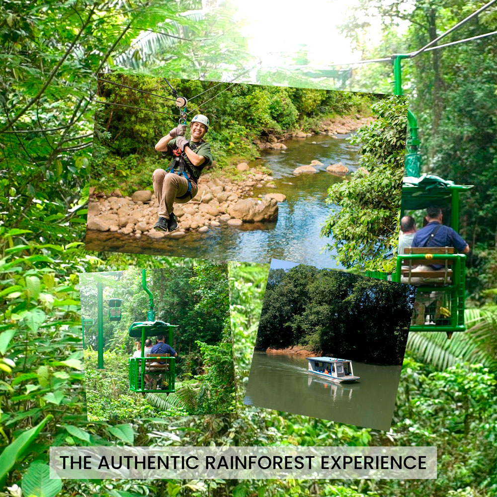 The Authentic Rainforest Experience