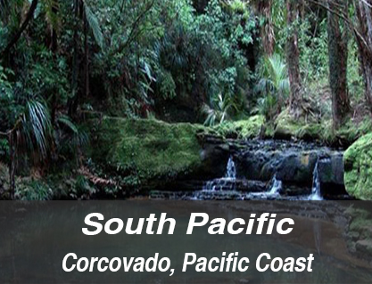 south pacific costa rica