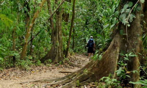 Manuel Antonio National Park Walk Tou