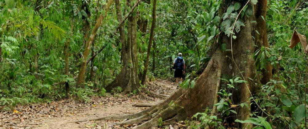 Manuel Antonio National Park Walk Tou