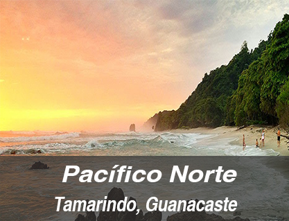 pacifico norte