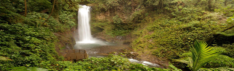 La Paz Waterfall Gardens Tour