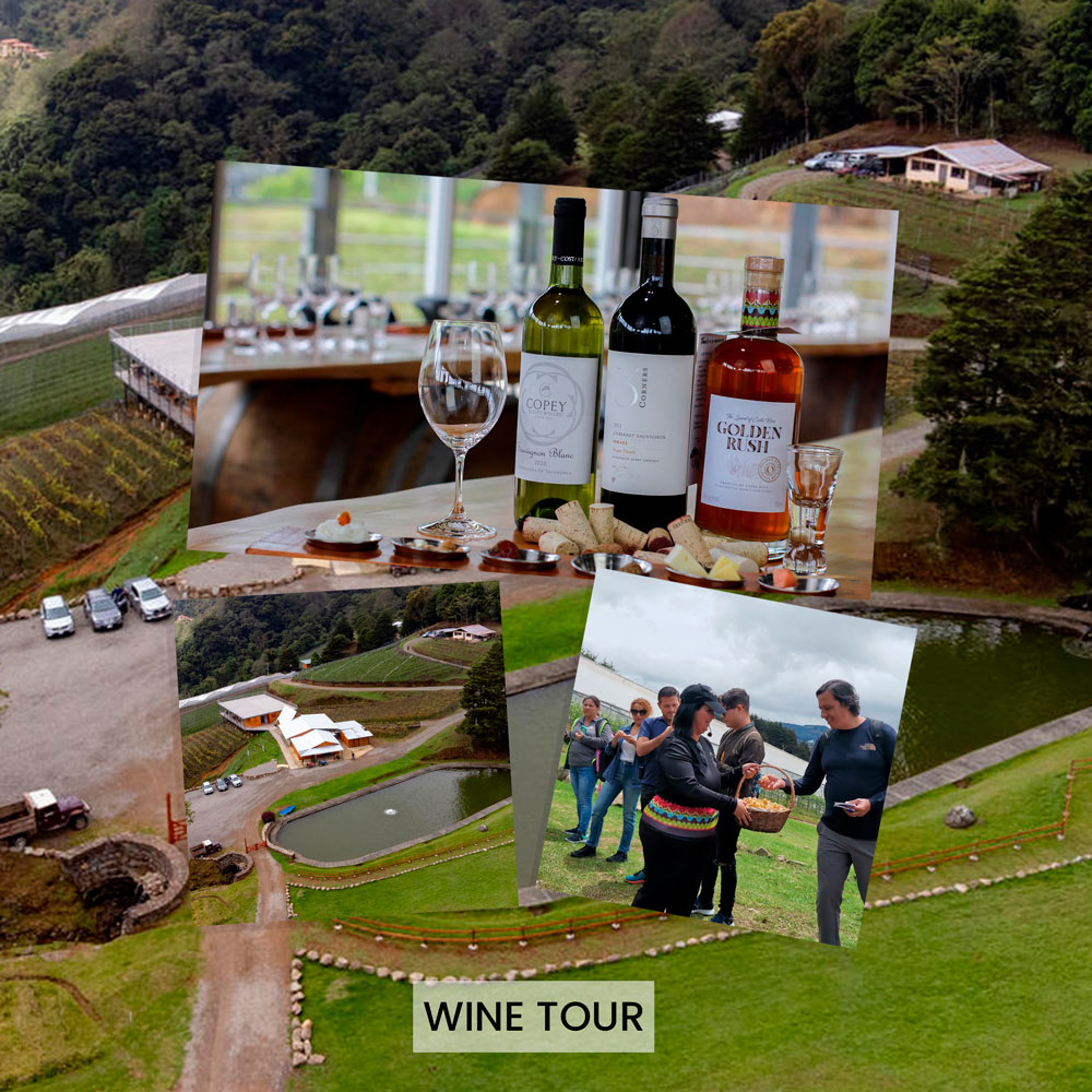 Wine Tour